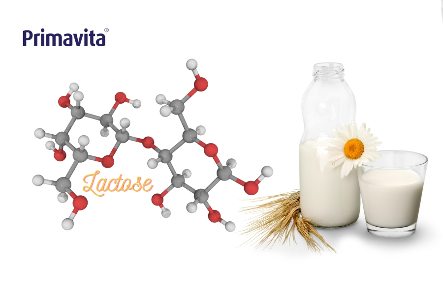 lactose trong sữa