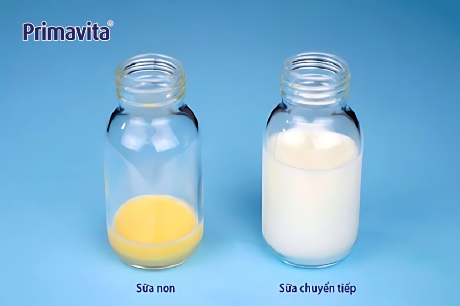 sữa chuyển tiếp