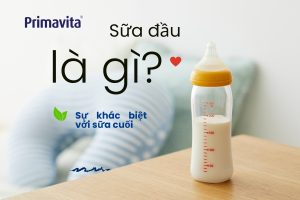 Sữa đầu