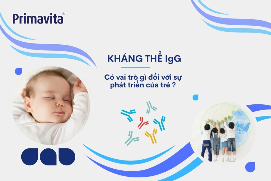 Kháng thể IgG