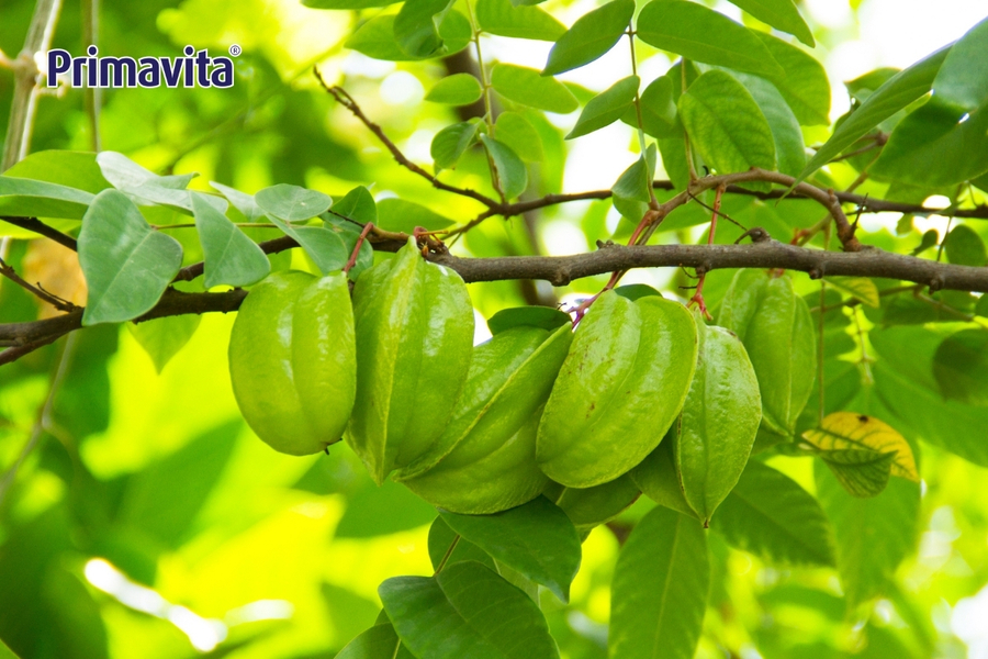 Lá tắm cho trẻ bị rôm sảy 