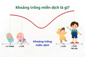 Khoảng trống miễn dịch là gì?