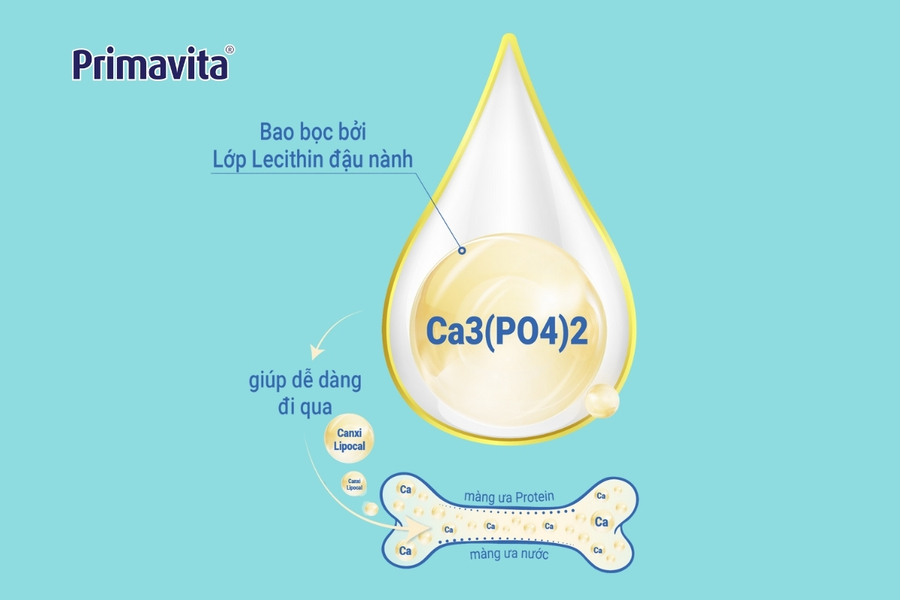 Canxi lipocal