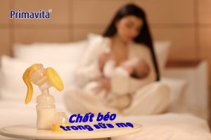 Vai trò của chất béo trong sữa mẹ