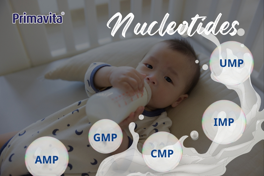Nucleotides trong sữa có tác dụng gì